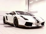 Lamborghini Gallardo SE by Hamann 2006 года